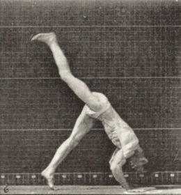 Plate 365 Performing flip — figure reference